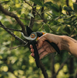 Площинний секатор Fiskars Solid &trade; P121 (1057160) 1057160 фото 5
