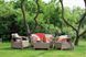 Набір пластикових садових меблів Keter Corfu II Set 227640 капучино 227640 фото 12