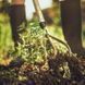 Культиватор Fiskars Xact 150 мм 1027040 1027040 фото 3