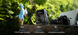 Зарядна станція EcoFlow TRAIL 300 DC EF-TRAIL300-N фото 8