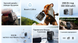 Зарядна станція EcoFlow TRAIL 300 DC EF-TRAIL300-N фото 3