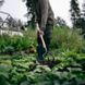 Культиватор Fiskars Solid з дерев'яною ручкою (1011614) 1011614 фото 3