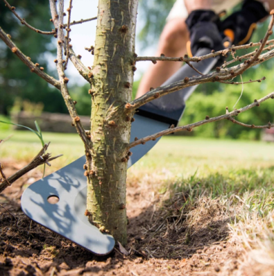 Великий сікач для сучків Fiskars WoodXpert XA3 126005 (1003621) 1003621 фото